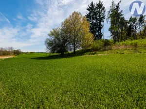 Prodej louky, Písek, 31865 m2