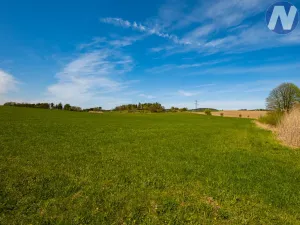 Prodej louky, Písek, 31865 m2