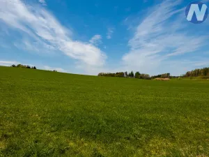 Prodej louky, Písek, 31865 m2