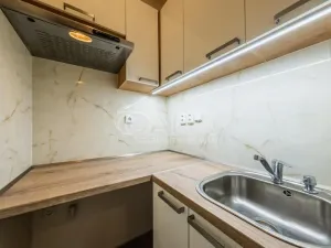 Pronájem bytu 1+kk, Praha - Malešice, U tvrze, 27 m2