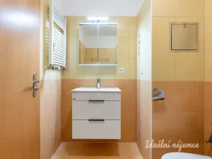 Pronájem bytu 1+kk, Praha - Prosek, Trmická, 36 m2
