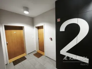 Pronájem bytu 1+1, Praha - Michle, Nuselská, 40 m2