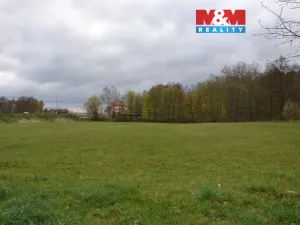 Prodej louky, Náchod - Běloves, 20495 m2