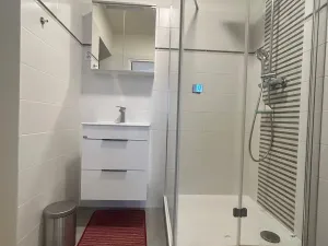 Pronájem bytu 4+1, Praha - Černý Most, Anderleho, 104 m2