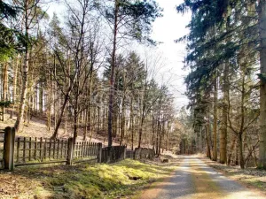 Prodej chaty, Kladruby - Hřešihlavy, 86 m2