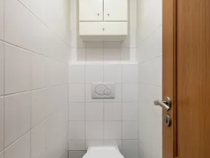 Pronájem bytu 3+kk, Praha - Žižkov, Na Viktorce, 70 m2