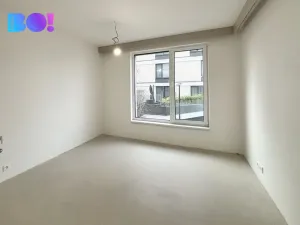 Pronájem kanceláře, Ostrava, F. X. Riepla, 75 m2