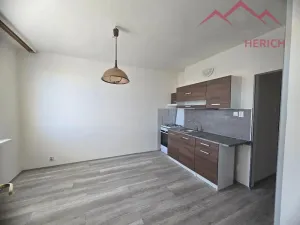 Prodej bytu 1+1, Chomutov, Písečná, 36 m2