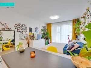 Pronájem bytu 1+kk, Olomouc - Nové Sady, Rokycanova, 37 m2