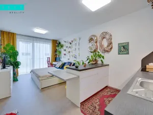 Pronájem bytu 1+kk, Olomouc - Nové Sady, Rokycanova, 37 m2