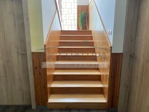 Prodej rodinného domu, Staré Hodějovice, Novohradská, 300 m2