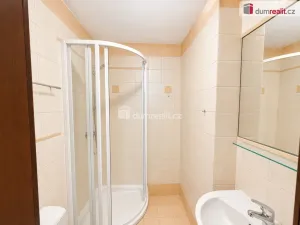 Pronájem bytu 2+kk, Ústí nad Labem - Ústí nad Labem-centrum, Králova výšina, 50 m2