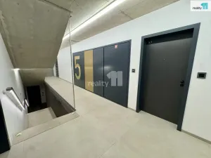 Pronájem bytu 1+kk, Praha, Starokošířská, 43 m2