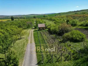 Prodej pozemku, Hroznová Lhota, 2997 m2