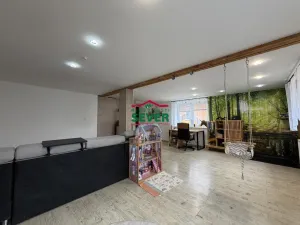 Prodej rodinného domu, Hrušovany, 208 m2