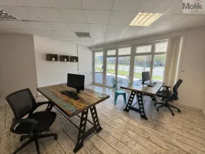 Pronájem kanceláře, Most, Moskevská, 59 m2