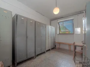 Prodej výrobních prostor, Moravský Krumlov, Pod Leskounem, 14738 m2