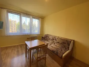 Pronájem bytu 1+kk, České Budějovice - České Budějovice 3, Puklicova, 20 m2