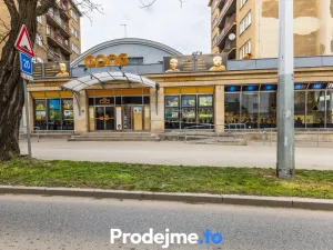 Prodej bytu 2+1, Praha - Libeň, Čihákova, 55 m2