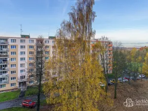 Pronájem bytu 3+1, Sokolov, Mánesova, 83 m2