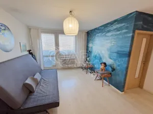 Prodej bytu 2+1, Praha - Chodov, Podjavorinské, 43 m2