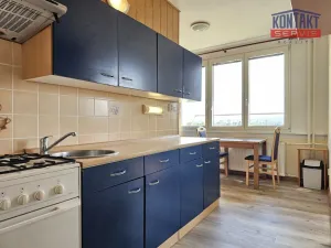 Pronájem bytu 1+1, České Budějovice - České Budějovice 2, 41 m2
