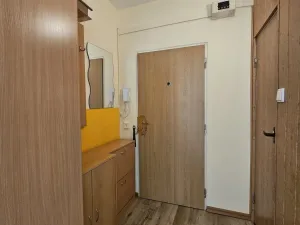 Pronájem bytu 1+1, České Budějovice - České Budějovice 2, 41 m2