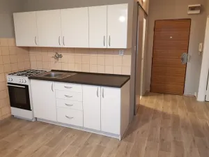 Pronájem bytu 1+1, Ostrava - Moravská Ostrava, Lechowiczova, 35 m2