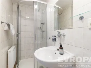 Pronájem komerční nemovitosti, Okrouhlička, 572 m2