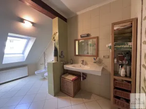 Prodej rodinného domu, Jáchymov, Fibichova, 420 m2