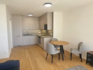 Pronájem bytu 2+kk, Brno, Bratislavská, 50 m2