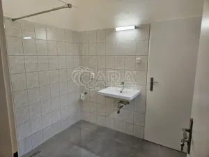 Pronájem komerční nemovitosti, Hostomice, Tyršovo náměstí, 290 m2
