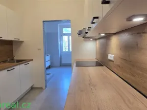 Pronájem bytu 3+kk, Brno, Veveří, 74 m2