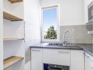 Pronájem bytu 2+1, České Budějovice - České Budějovice 5, Dobrovodská, 47 m2