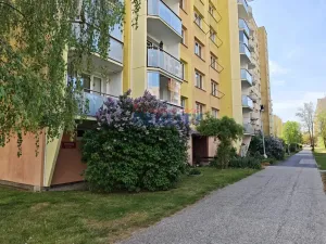 Pronájem bytu 1+1, České Budějovice - České Budějovice 2, Krčínova, 47 m2