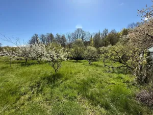 Prodej pozemku pro bydlení, Krnov - Pod Bezručovým vrchem, Ježník, 3332 m2