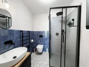 Prodej bytu 1+1, Praha - Vinohrady, Sázavská, 28 m2