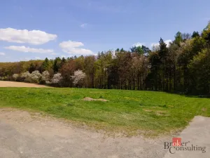 Prodej pozemku pro bydlení, 2734 m2
