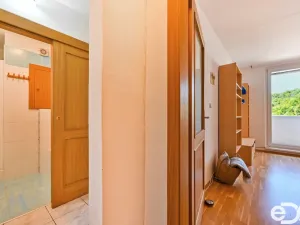 Pronájem bytu 1+1, Brno - Žabovřesky, Vychodilova, 42 m2