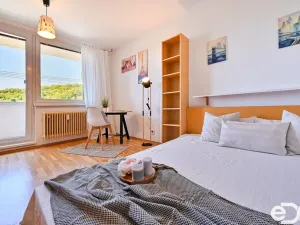 Pronájem bytu 1+1, Brno - Žabovřesky, Vychodilova, 42 m2