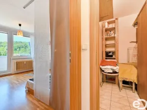 Pronájem bytu 1+1, Brno - Žabovřesky, Vychodilova, 42 m2