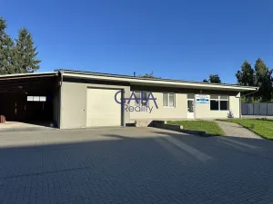 Pronájem obchodního prostoru, Louka, 597 m2