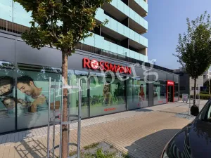 Prodej bytu 2+kk, Praha - Žižkov, Na Vackově, 53 m2