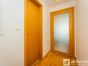Pronájem bytu 1+kk, Praha - Žižkov, Pitterova, 38 m2