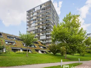 Pronájem bytu 1+kk, Praha - Žižkov, Pitterova, 38 m2