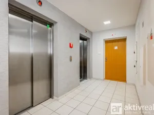 Pronájem bytu 1+kk, Praha - Žižkov, Pitterova, 38 m2