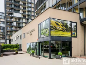 Pronájem bytu 1+kk, Praha - Žižkov, Pitterova, 38 m2