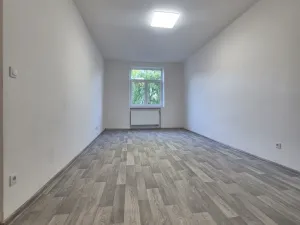 Pronájem bytu 2+1, České Budějovice, Mánesova, 70 m2