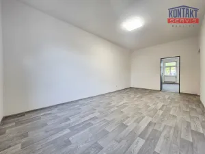 Pronájem bytu 2+1, České Budějovice, Mánesova, 70 m2