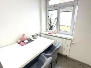Pronájem bytu 1+1, Brno - Královo Pole, Hrubého, 42 m2
